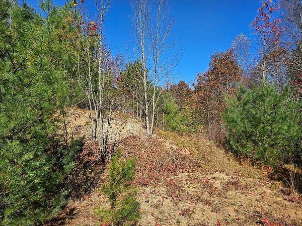 8 Acres of Residential Land for Sale in Independence, Virginia