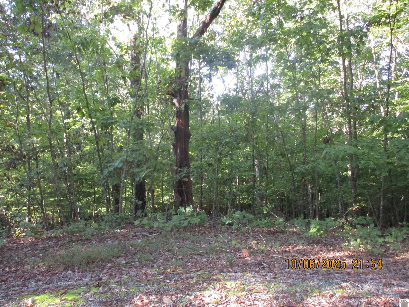 7.1 Acres of Residential Land for Sale in Cadiz, Kentucky