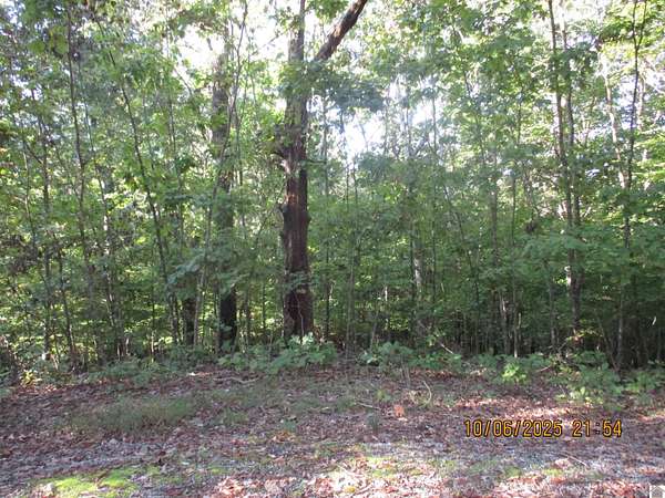 7.1 Acres of Land for Sale in Cadiz, Kentucky