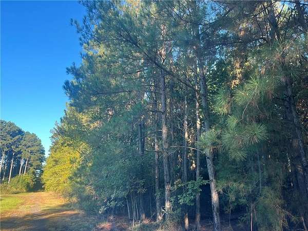 59.1 Acres of Recreational Land for Sale in Pottsville, Arkansas