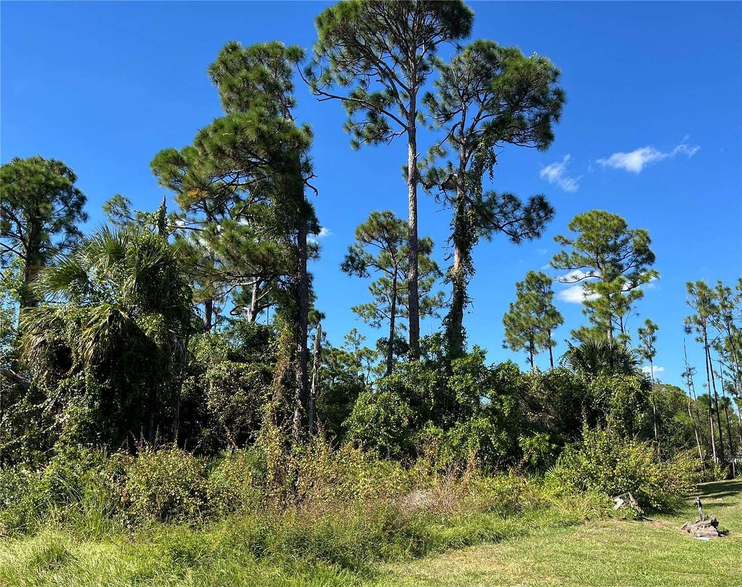 0.23 Acres of Residential Land for Sale in Port Charlotte, Florida