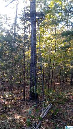 34 Acres of Recreational Land for Sale in Munford, Alabama