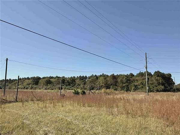 22.5 Acres of Agricultural Land for Sale in Sparta, Georgia