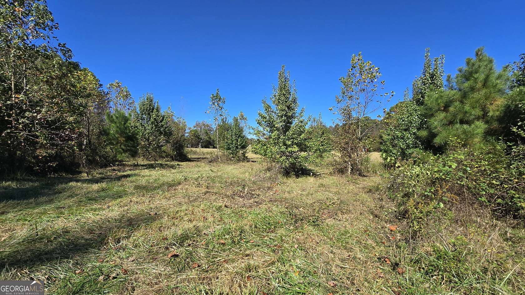 21.2 Acres of Recreational & Residential Land for Sale in Chatsworth, Georgia