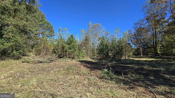 21.2 Acres of Land for Sale in Chatsworth, Georgia