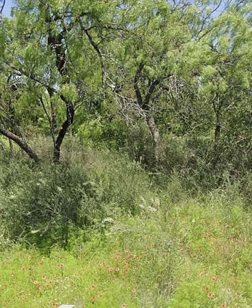 0.11 Acres of Residential Land for Sale in Kingsland, Texas