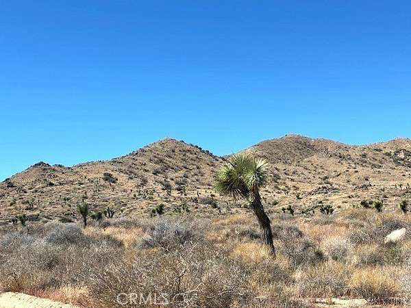 10 Acres of Residential Land for Sale in Yucca Valley, California