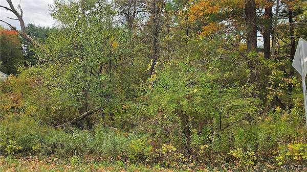 0.81 Acres of Residential Land for Sale in East Aurora, New York