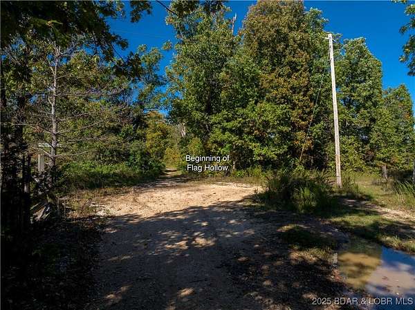 40 Acres of Recreational Land for Sale in Montreal, Missouri