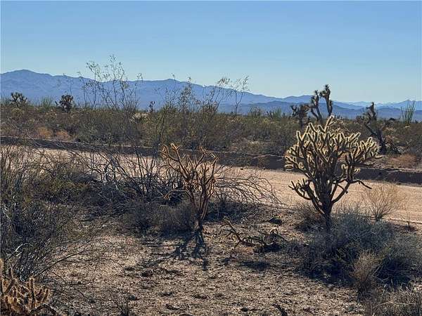 40 Acres of Land for Sale in Yucca, Arizona