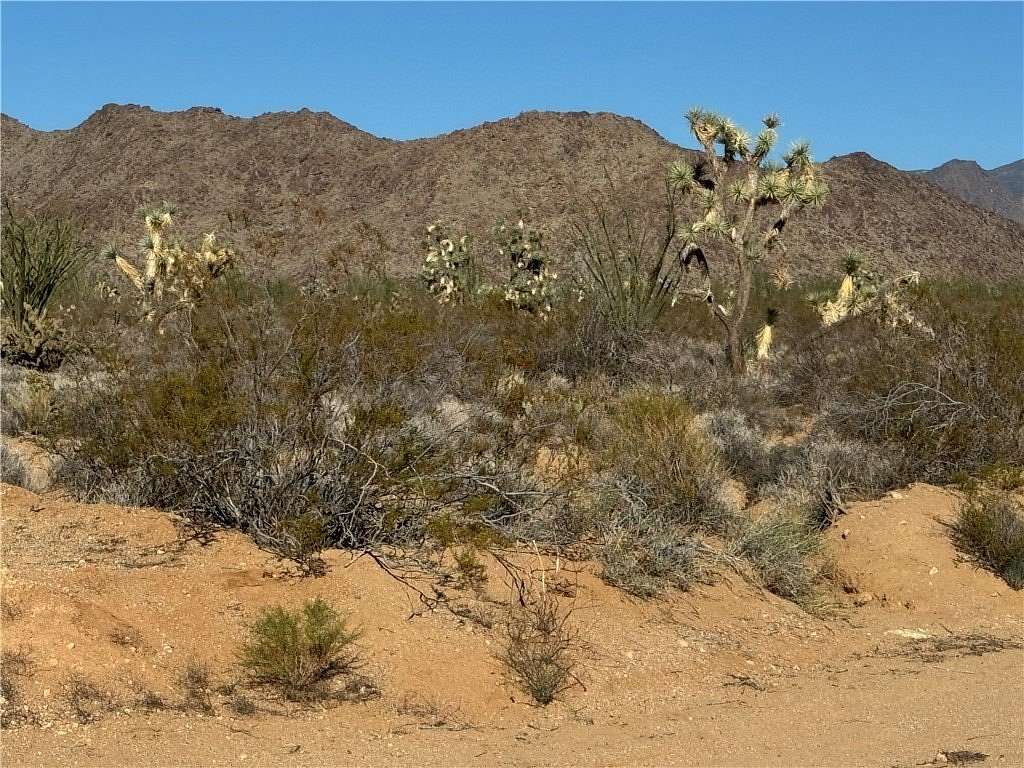 40 Acres of Recreational Land for Sale in Yucca, Arizona
