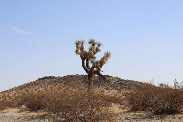 18.6 Acres of Recreational Land for Sale in Adelanto, California