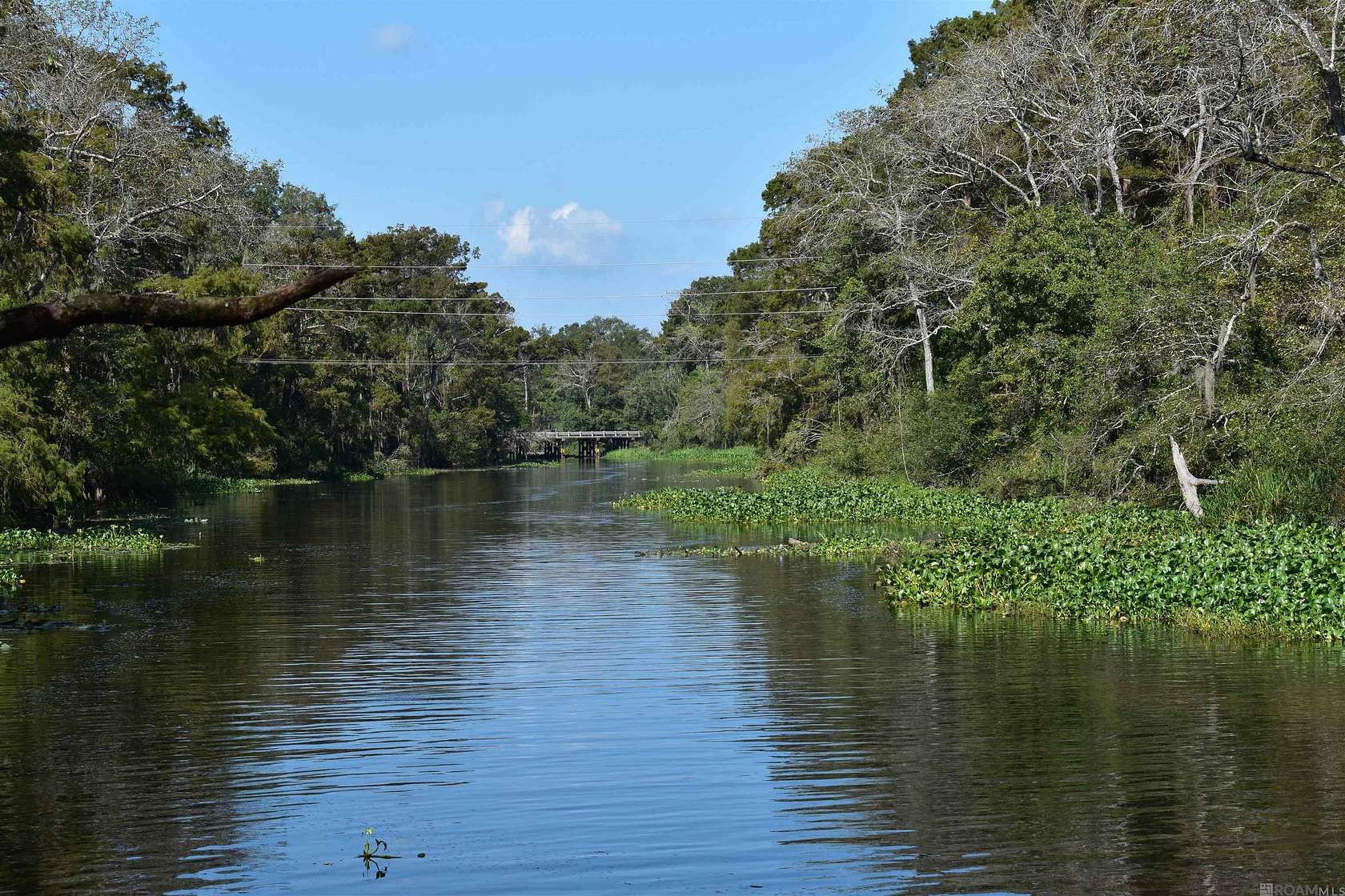 136 Acres of Recreational Land for Sale in Prairieville, Louisiana