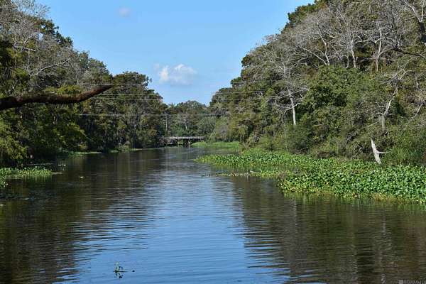 136 Acres of Recreational Land for Sale in Prairieville, Louisiana