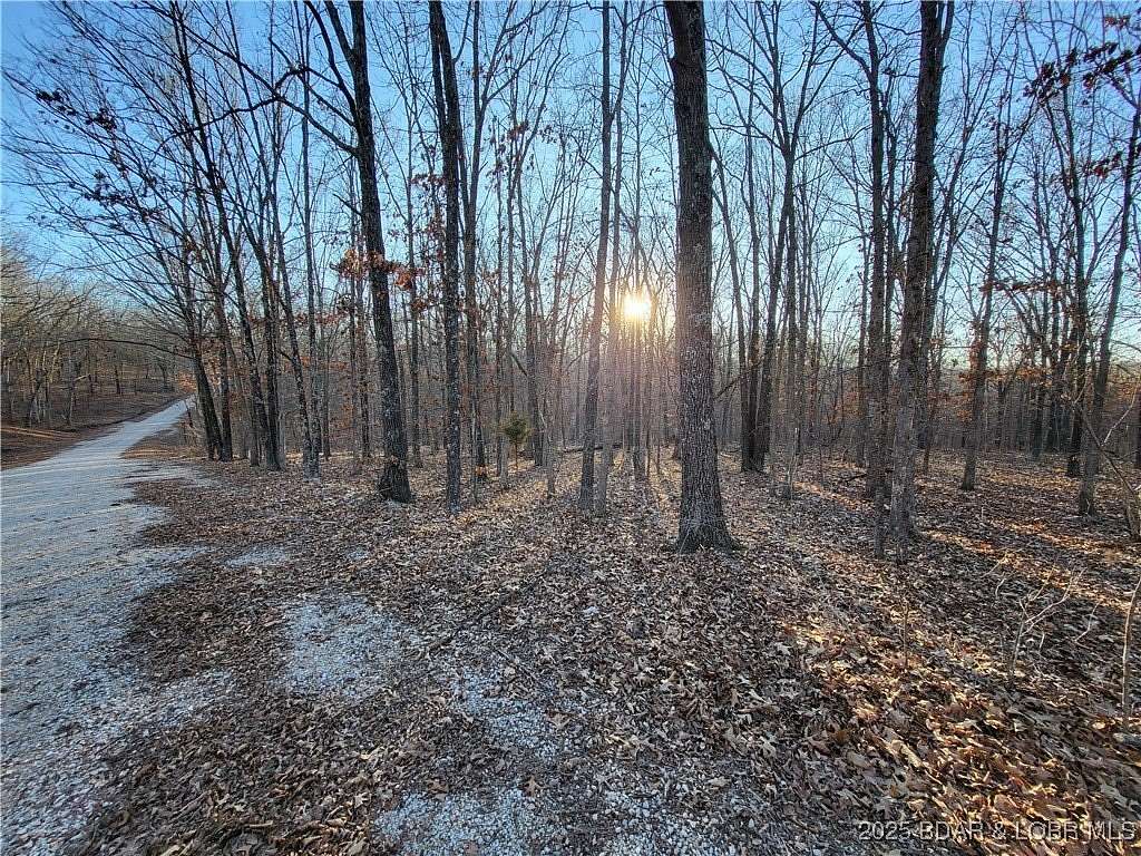 12 Acres of Land for Sale in Edwards, Missouri