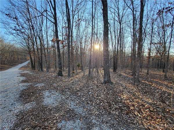 12 Acres of Land for Sale in Edwards, Missouri