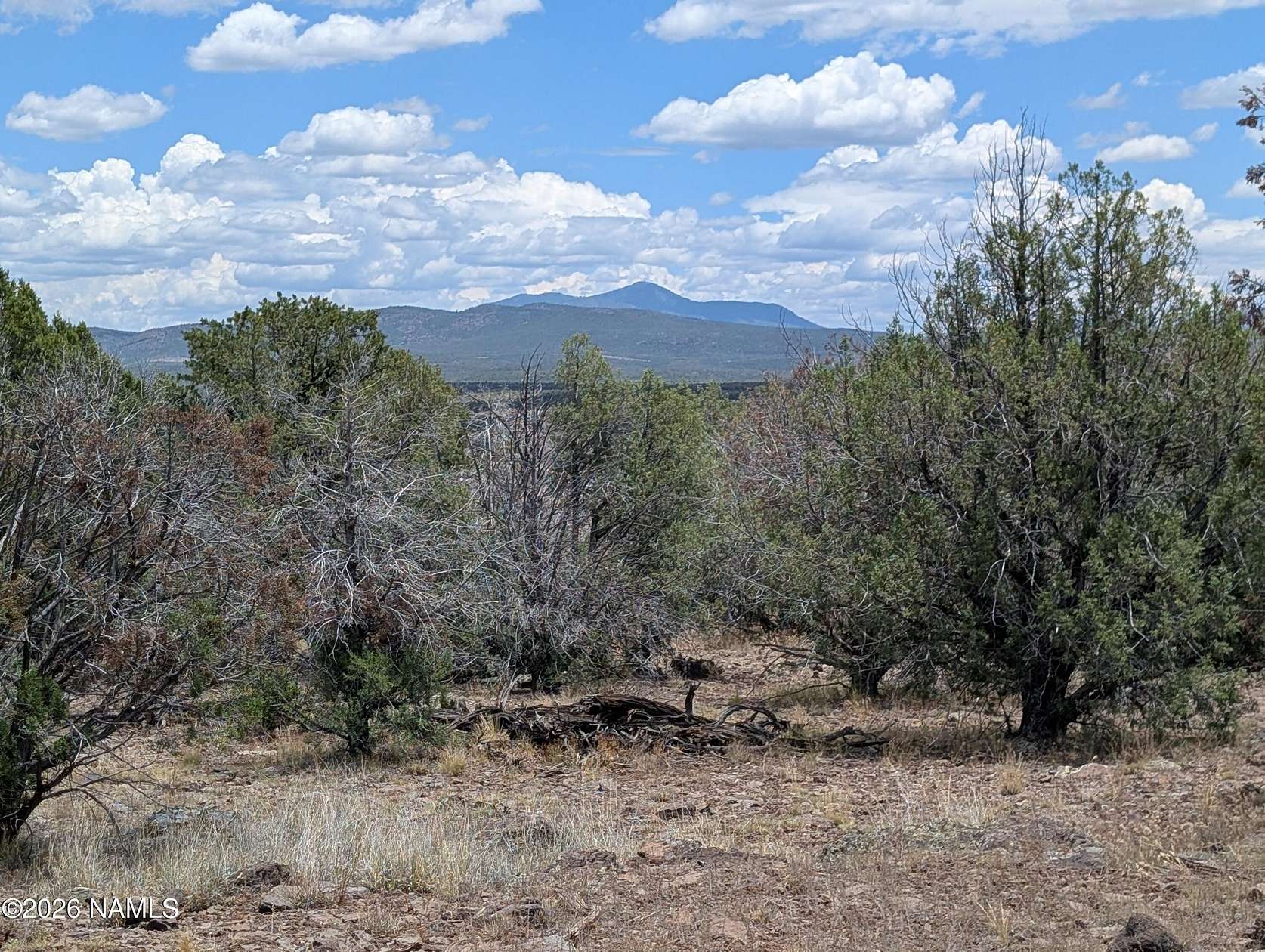 46.6 Acres of Recreational Land for Sale in Ash Fork, Arizona
