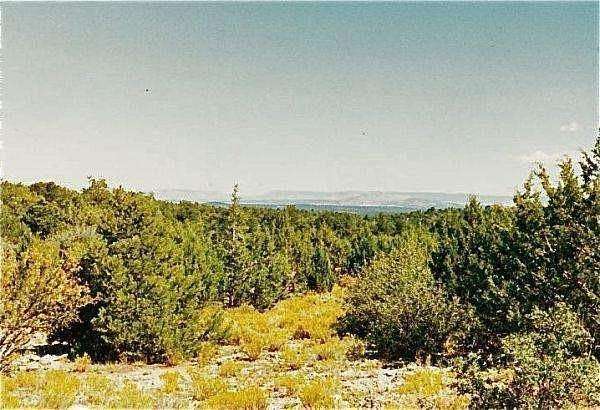 40 Acres of Recreational Land for Sale in Peach Springs, Arizona