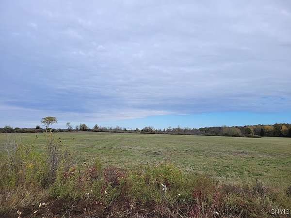24 Acres of Recreational Land for Sale in Cape Vincent, New York