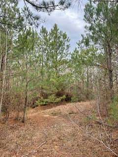 15.5 Acres of Land for Sale in French Camp, Mississippi