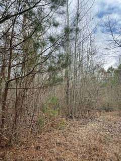 15.5 Acres of Land for Sale in French Camp, Mississippi