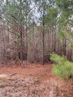 15.5 Acres of Land for Sale in French Camp, Mississippi