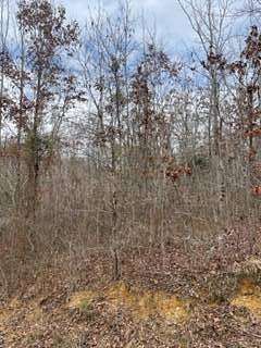 15.5 Acres of Land for Sale in French Camp, Mississippi