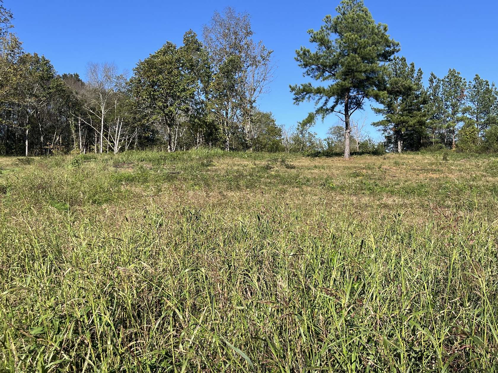 1.8 Acres of Residential Land for Sale in Shelbyville, Tennessee