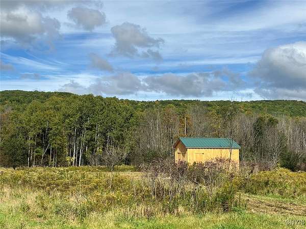 3.27 Acres of Land for Sale in Canaseraga, New York