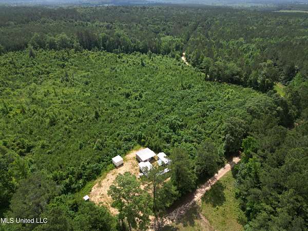 102 Acres of Recreational Land for Sale in Bay Springs, Mississippi