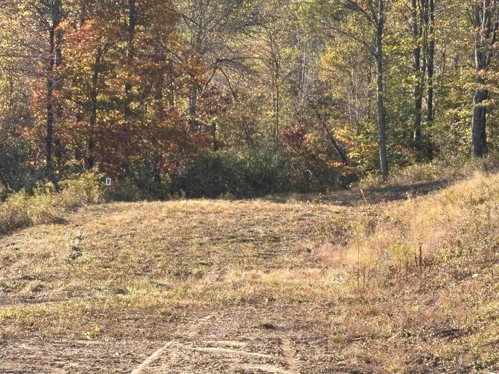 1 Acre of Residential Land for Sale in Junior, West Virginia
