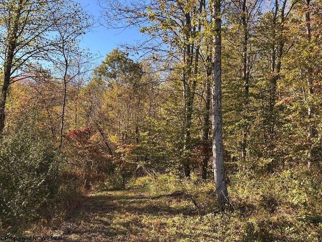 1 Acre of Residential Land for Sale in Junior, West Virginia
