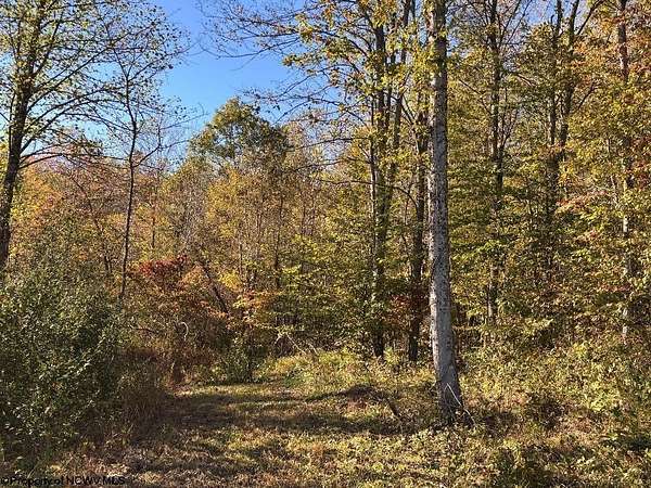 1 Acre of Residential Land for Sale in Junior, West Virginia