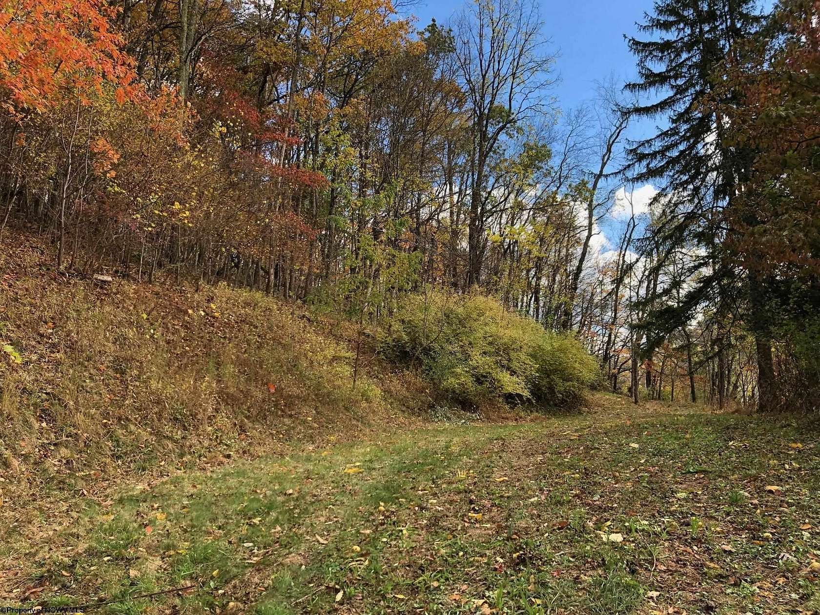 3.5 Acres of Residential Land for Sale in Parsons, West Virginia