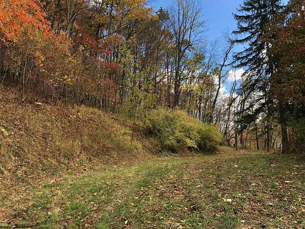 3.5 Acres of Residential Land for Sale in Parsons, West Virginia
