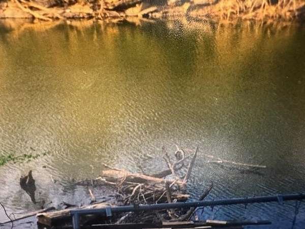 0.34 Acres of Residential Land for Sale in Athens, Alabama