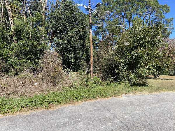 0.3 Acres of Residential Land for Sale in Bishopville, South Carolina