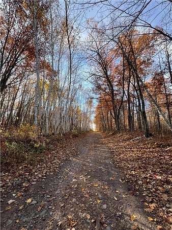57 Acres of Recreational Land for Sale in Sandstone Township, Minnesota