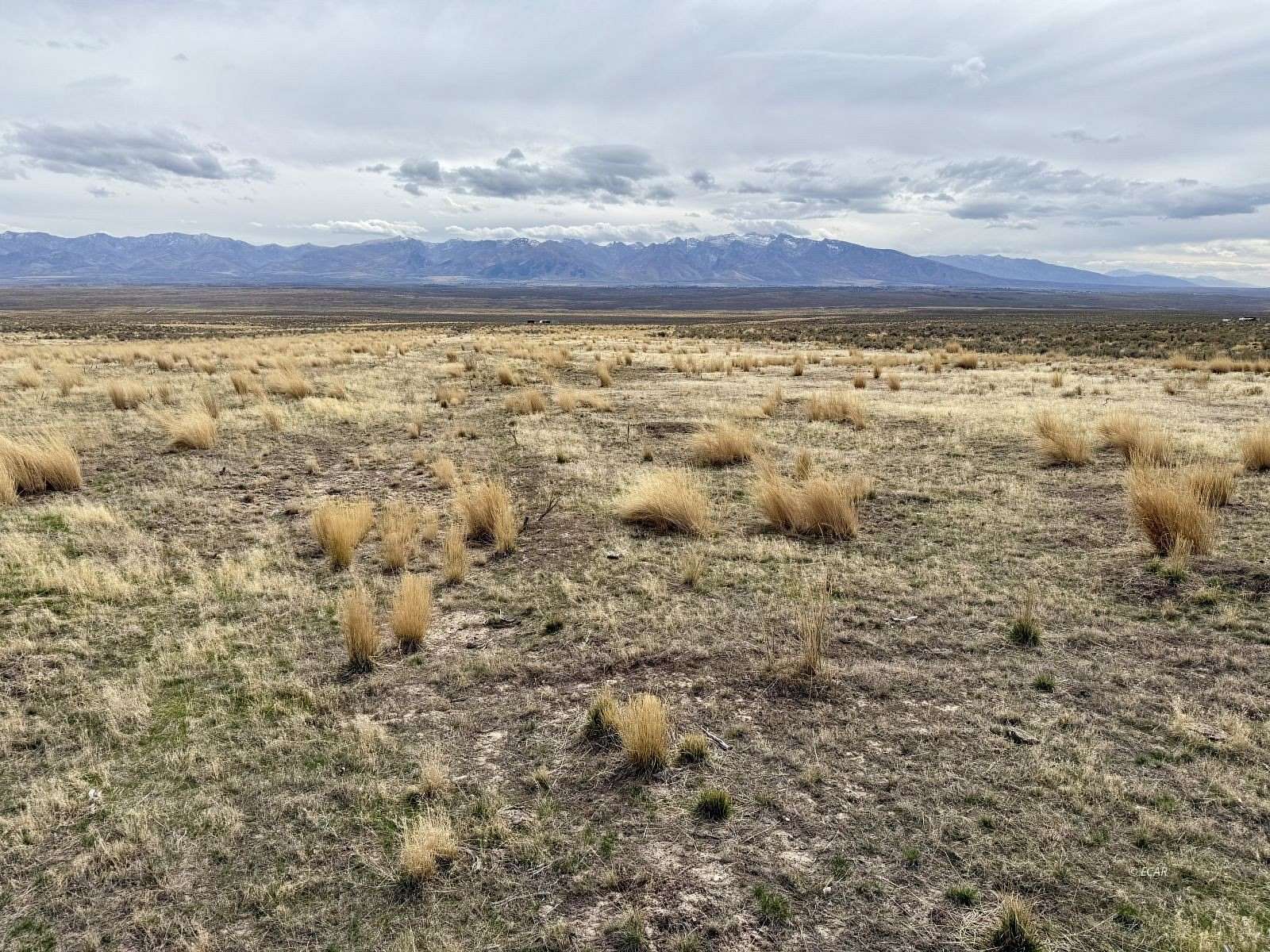 1 Acre of Residential Land for Sale in Spring Creek, Nevada