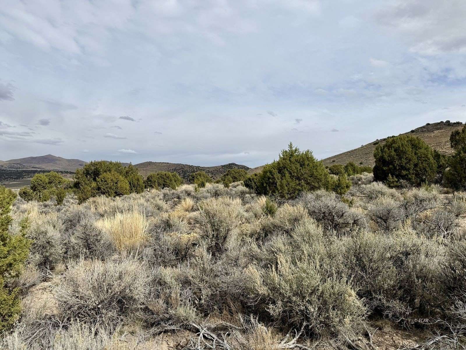 1 Acre of Residential Land for Sale in Spring Creek, Nevada
