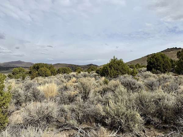 1 Acre of Residential Land for Sale in Spring Creek, Nevada