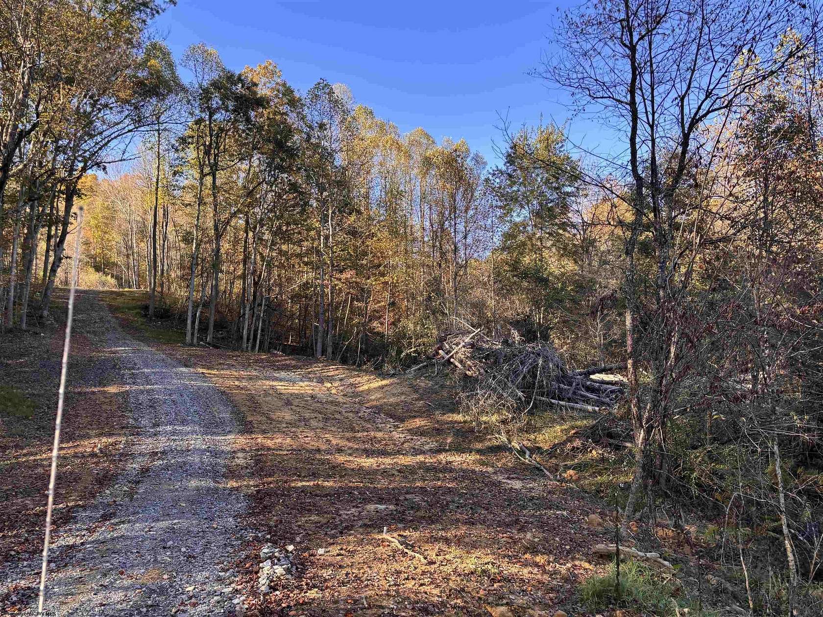 1 Acre of Residential Land for Sale in Junior, West Virginia