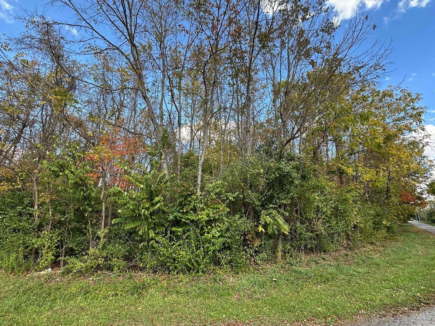 0.46 Acres of Residential Land for Sale in Paint Township, Ohio