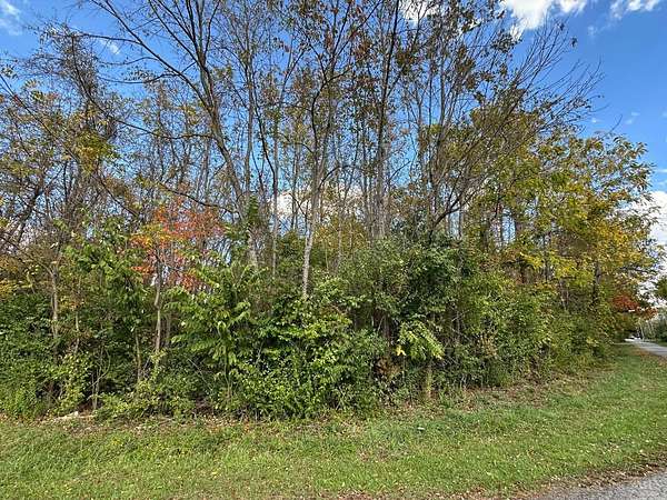 0.46 Acres of Residential Land for Sale in Paint Township, Ohio