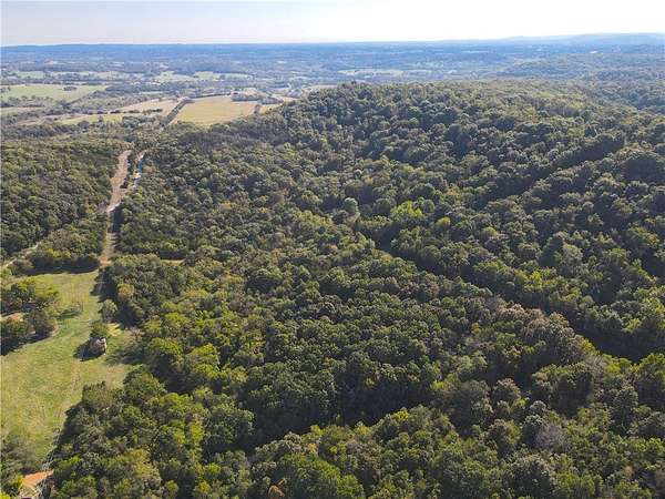 11 Acres of Recreational & Residential Land for Sale in Berryville, Arkansas