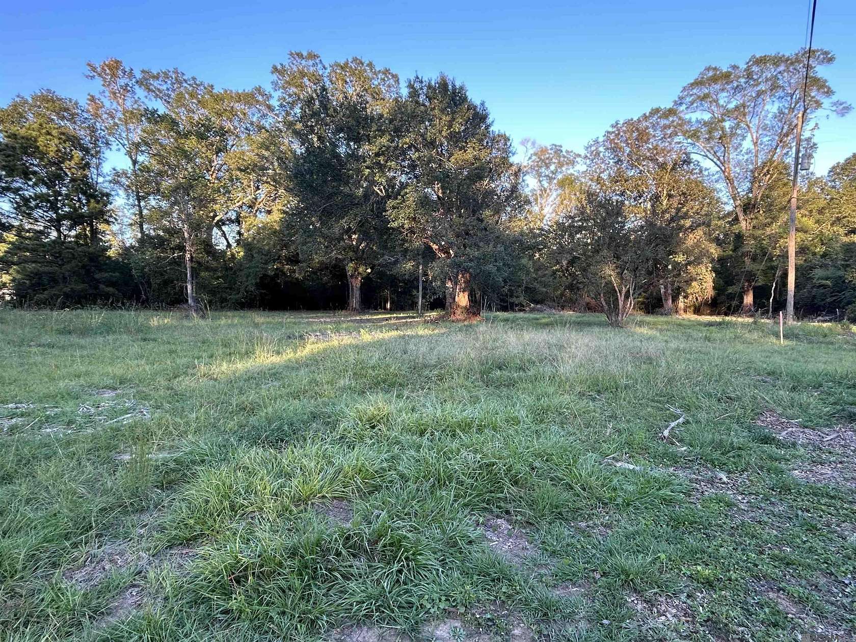 3 Acres of Residential Land for Sale in Livingston, Louisiana