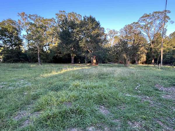 3 Acres of Residential Land for Sale in Livingston, Louisiana