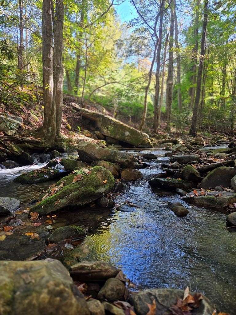 7.79 Acres of Residential Land for Sale in Andrews, North Carolina