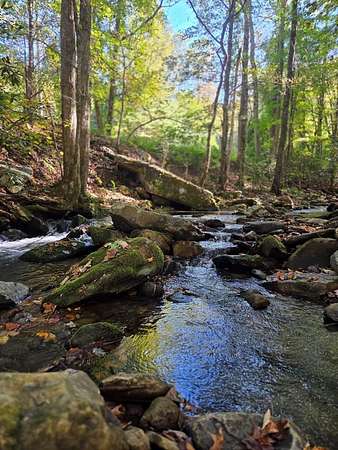 7.79 Acres of Residential Land for Sale in Andrews, North Carolina