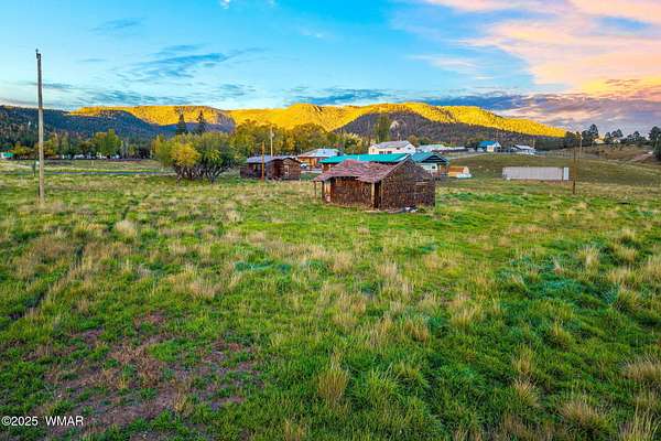 1.13 Acres of Commercial Land for Sale in Alpine, Arizona